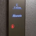 L Anima 4*
